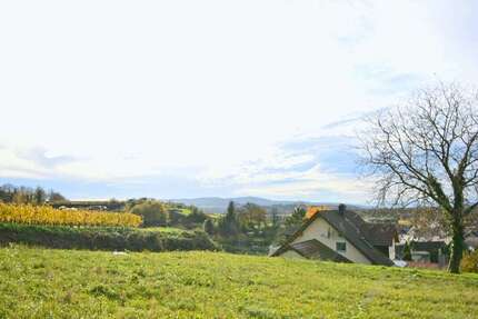 Grundstück zu verkaufen in Malterdingen 363.350 € 559 m² zimmer