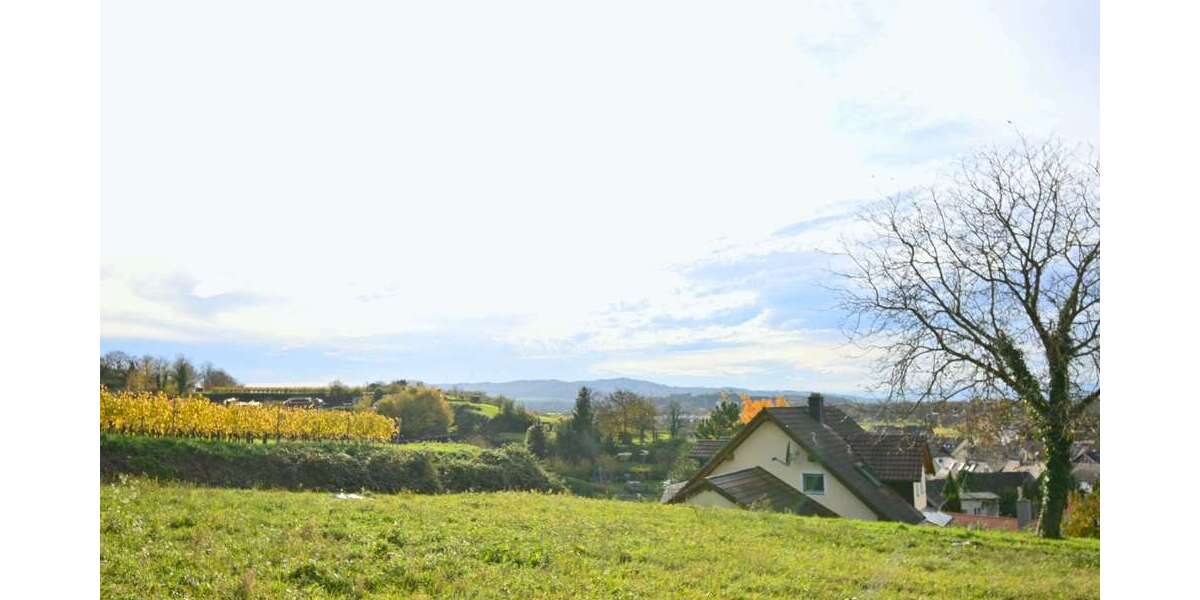 Grundstück zu verkaufen in Malterdingen 363.350 € 559 m² zimmer