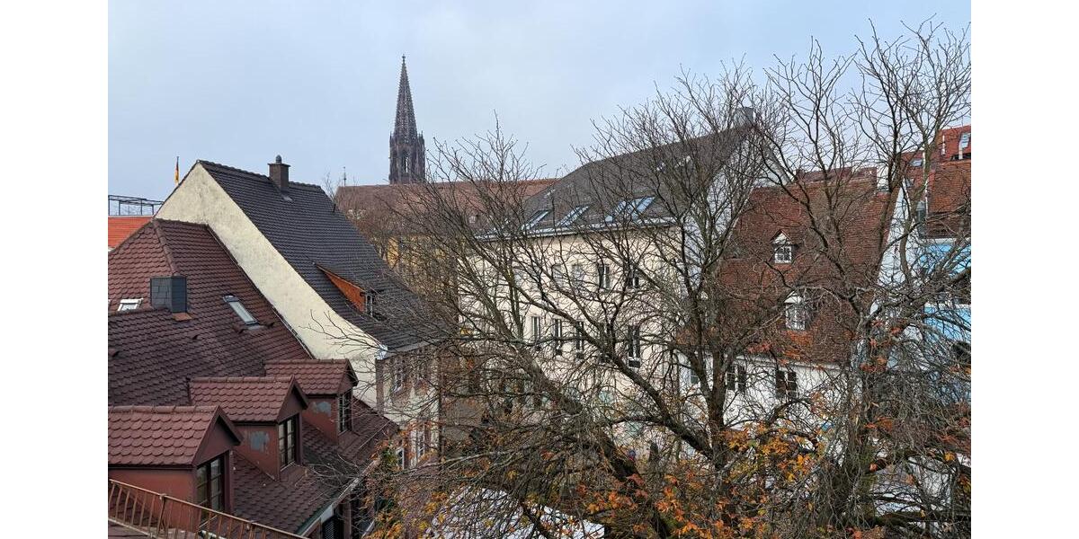 Mehrfamilienhaus, Wohnhaus Freiburg im Breisgau - 2 Zimmer, 77 m&sup2;, 440.000&euro; | Angebot:24870937