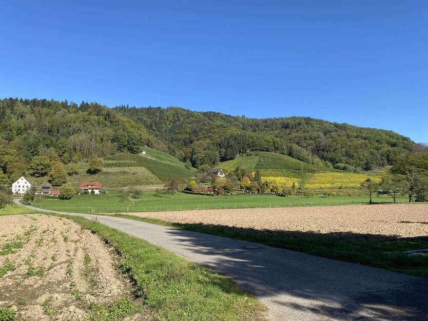 Grundstück zu verkaufen in Glottertal 250.000 € 234 m²