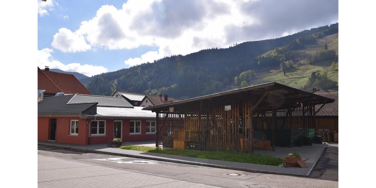 Gewerbeobjekt Todtnau - 195&euro; | Angebot:24682647