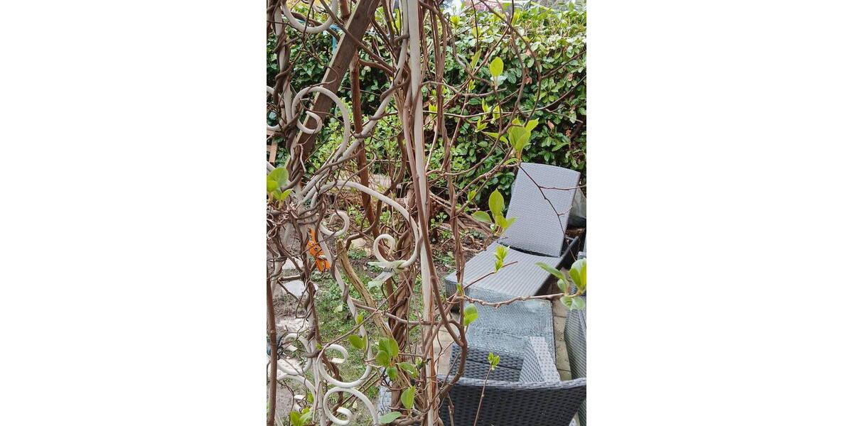 Etagenwohnung Freiburg Wiehre - 3 Zimmer, 88 m&sup2;, 695.000&euro; | Angebot:25957450