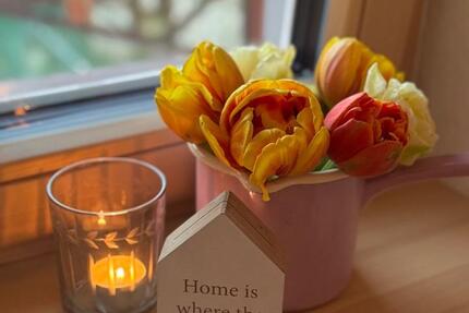 Großes helles Zimmer, möbliert, Balkon, Garten in Bestlage 1 zimmer