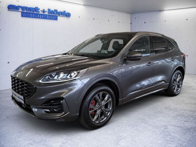 Kuga