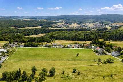 Grundstück Lenzkirch - 900.000&euro; | Angebot:26958510