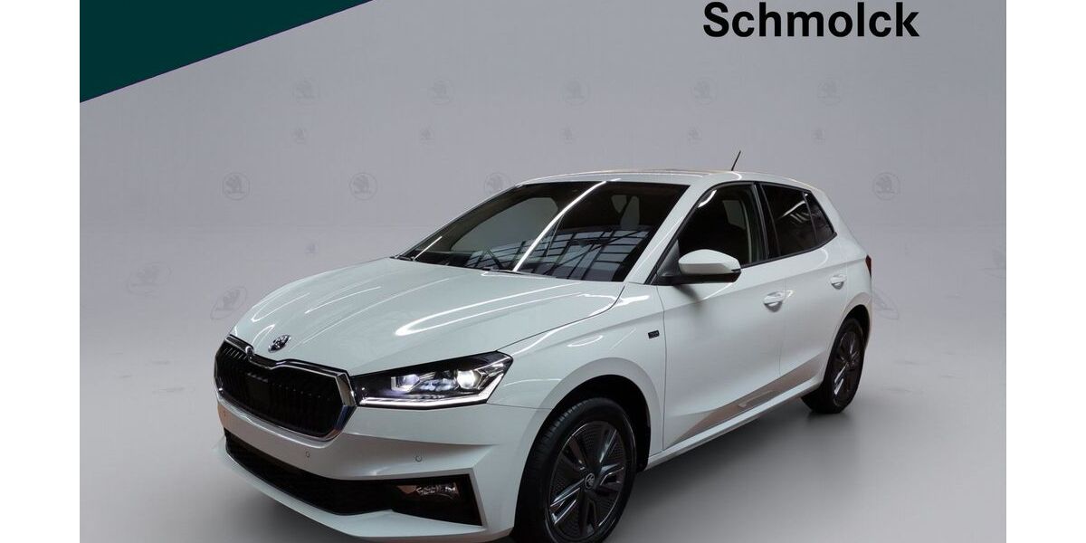 Skoda Fabia 10.000 km 17.490 &euro; Emmendingen 79312