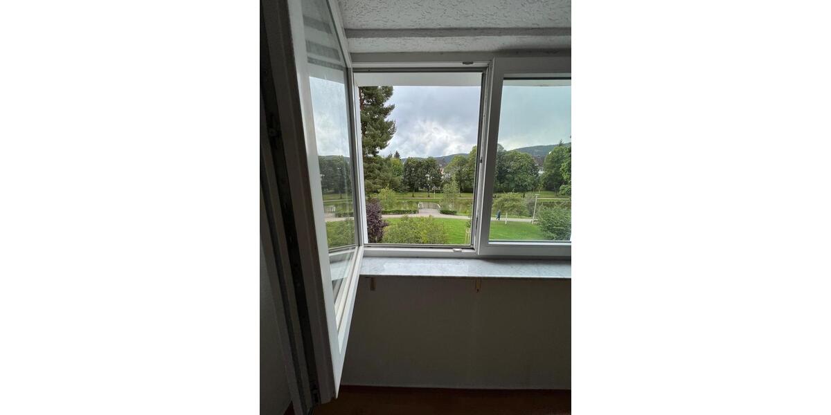 Doppelhaushälfte Titisee-Neustadt Neustadt - 7 Zimmer, 150 m&sup2;, 429.000&euro; | Angebot:26125306