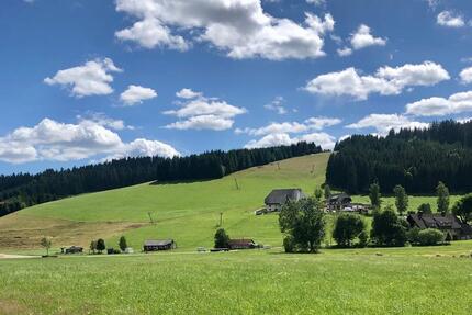 Haus Lenzkirch - 3 Zimmer, 89 m&sup2;, 325.000&euro; | Angebot:26777666