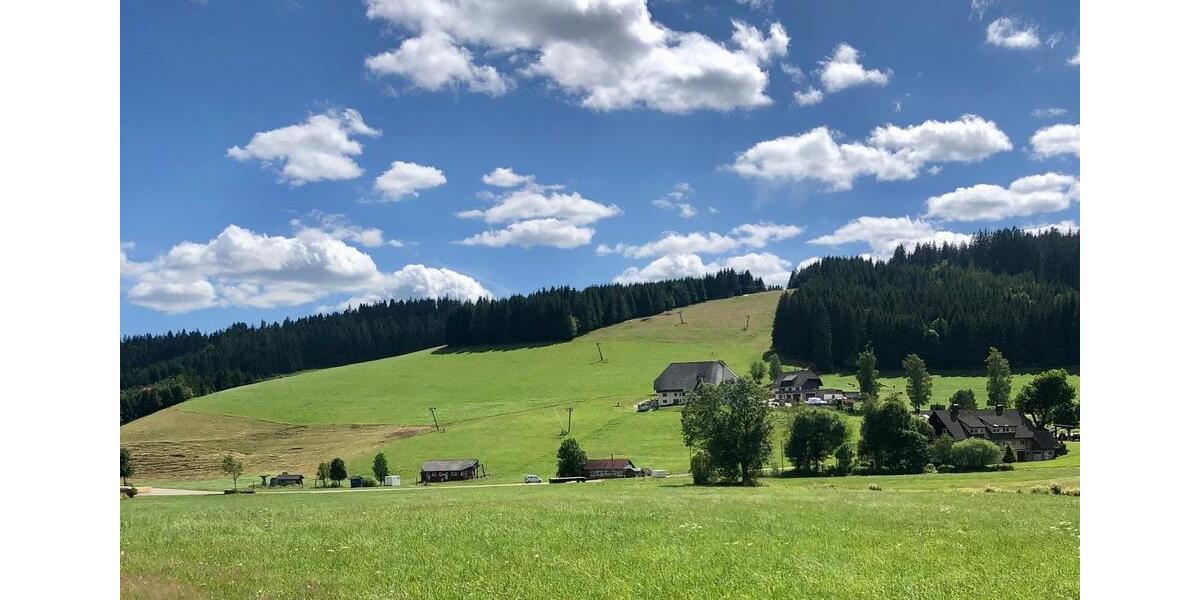 Mehrfamilienhaus, Wohnhaus Lenzkirch - 3 Zimmer, 89 m&sup2;, 325.000&euro; | Angebot:26777666