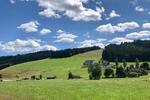 Mehrfamilienhaus, Wohnhaus Lenzkirch - 3 Zimmer, 89 m&sup2;, 325.000&euro; | Angebot:26777666