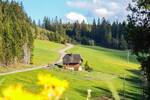 Mehrfamilienhaus, Wohnhaus Titisee-Neustadt Titisee - 3 Zimmer, 101 m&sup2;, 749.000&euro; | Angebot:26274112