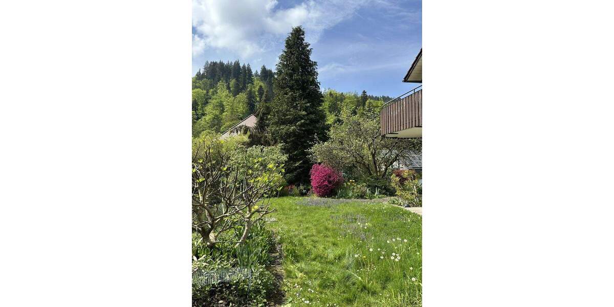 Mehrfamilienhaus, Wohnhaus Freiburg Günterstal - 1 Zimmer, 356 m&sup2;, 1.195.000&euro; | Angebot:24876612