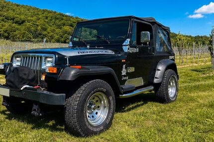 Jeep Wrangler 164.100 km 14.500 &euro; Bötzingen 79268