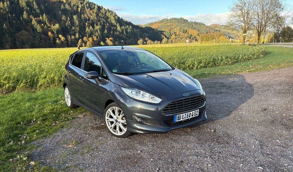 Ford Fiesta 160.000 km 5.499 € Gutach im Breisgau 79261