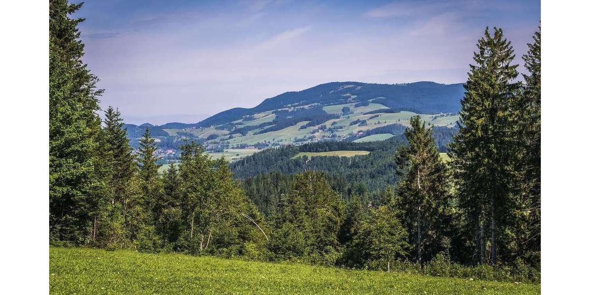 Einfamilienhaus Freiburg im Breisgau Herdern - 9 Zimmer, 400 m&sup2;, 4.000.000&euro; | Angebot:26930273