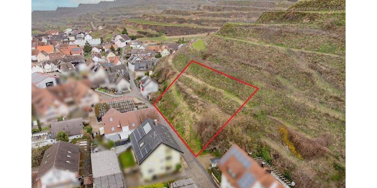 Grundstück Vogtsburg Oberbergen - 347.000&euro; | Angebot:25667966