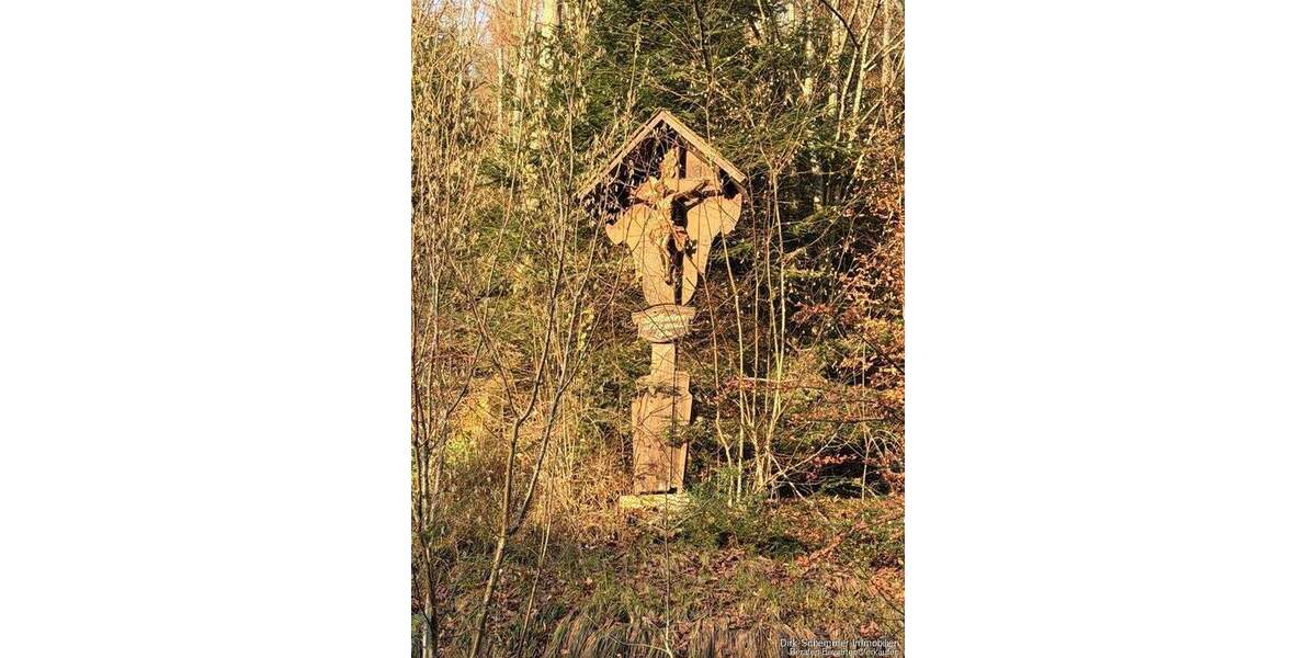 Mehrfamilienhaus, Wohnhaus Buchenbach Wagensteig - 2 Zimmer, 220 m&sup2;, 430.000&euro; | Angebot:25708742