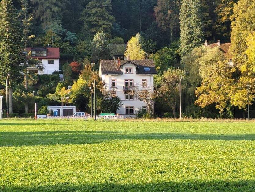 4,5-Zi-Whg 95qm oder eine 4,5-Zi-Whg 88qm + in Gründerzeit-4-FamHs + mit Fabrik-Loft + mit GartenWerkstattHaus + Paradiesgarten 4 zimmer