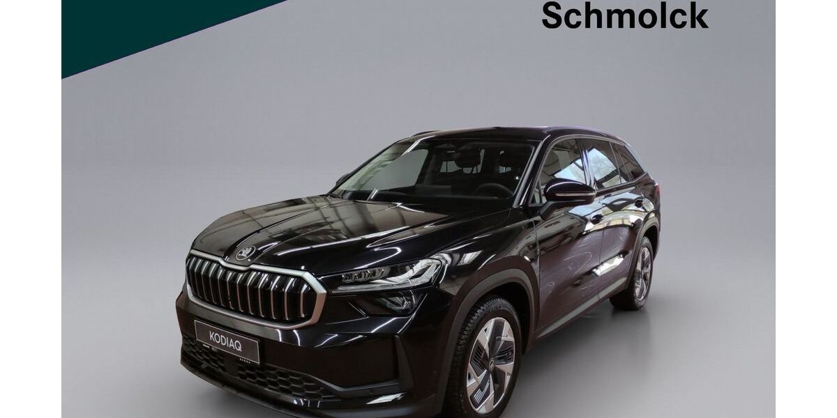 Skoda Kodiaq 24.600 km 38.990 &euro; Emmendingen 79312
