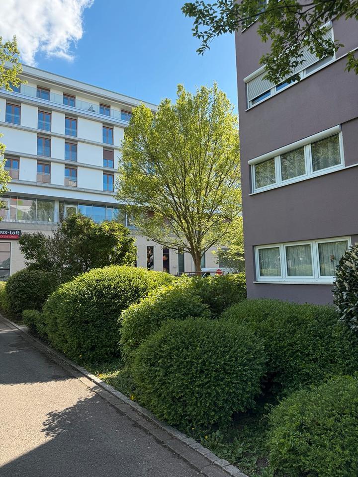 3 Zimmer Wohnung Freiburg Auwaldstr. zimmer