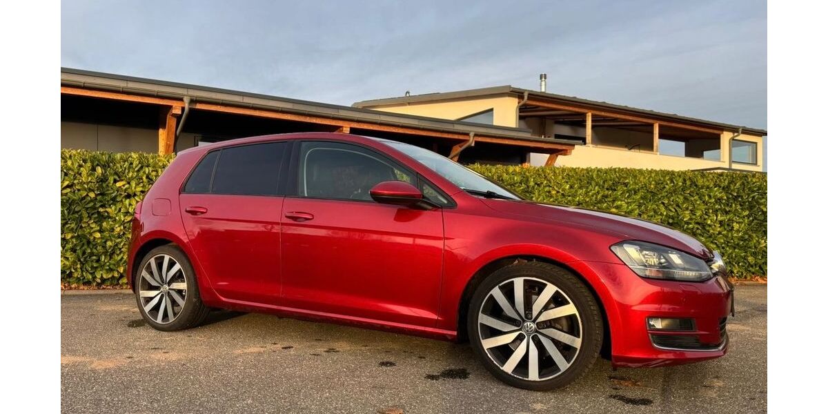 VW Golf 174.000 km 10.300 &euro; Freiamt 79348