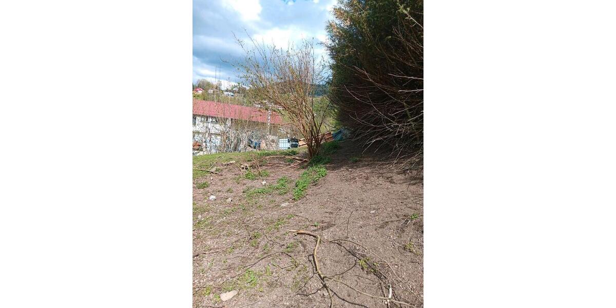 Einfamilienhaus Freiburg im Breisgau Brühl - 235.000&euro; | Angebot:26223030