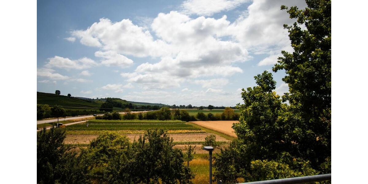 Dachgeschoßwohnung Müllheim - 3 Zimmer, 75 m&sup2;, 305.000&euro; | Angebot:26161370