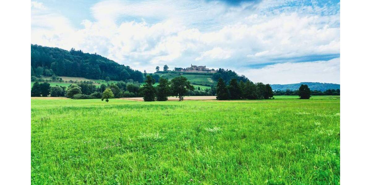 Grundstück Sexau - 550.000&euro; | Angebot:22634060