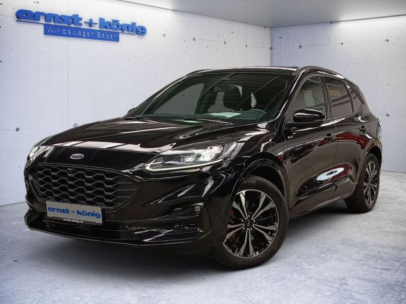 Kuga