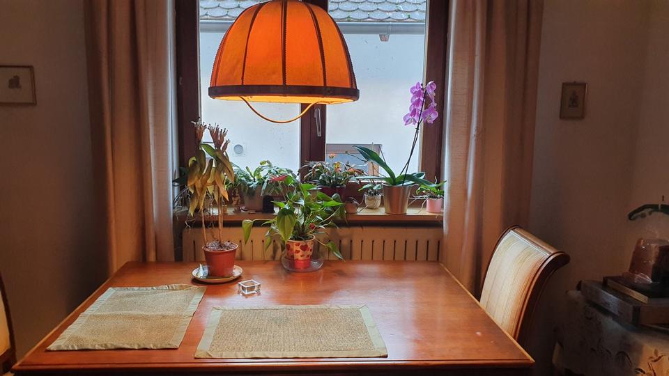 Etagenwohnung Ettenheim - 4.5 Zimmer, 90 m&sup2;, 600&euro; | Angebot:24826900