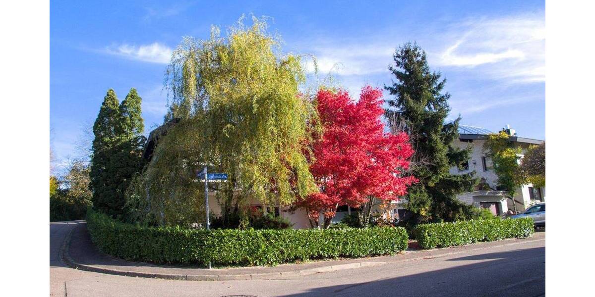 Einfamilienhaus Teningen-Köndringen Köndringen - 4 Zimmer, 217 m&sup2;, 1.290.000&euro; | Angebot:26700199