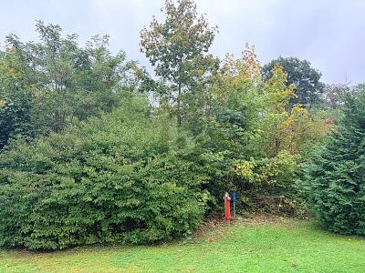 FERTIGES PROJEKT SUCHT UMSETZUNG! - Grundstück Badenweiler | Angebot:24822560