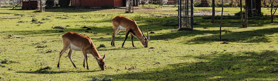 Mundenhof Tier-Natur-Erlebnispark Freiburg