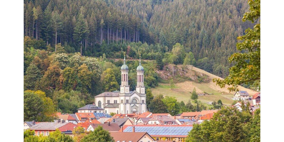 Etagenwohnung Todtnau Hasbach - 3 Zimmer, 85 m&sup2;, 360.000&euro; | Angebot:25669291