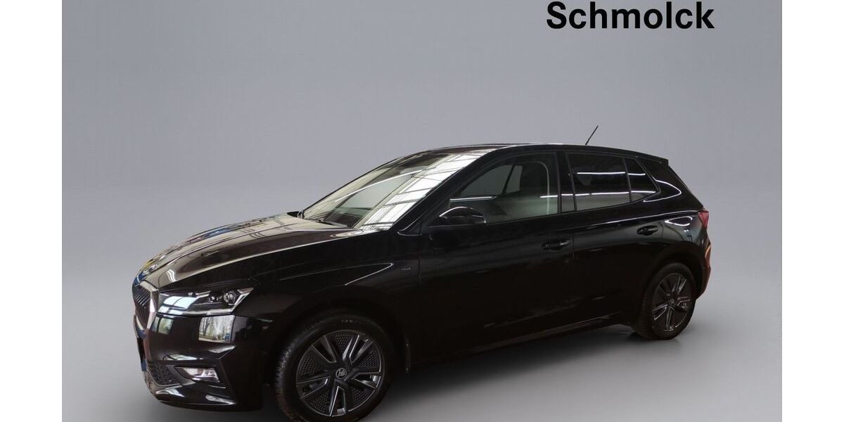 Skoda Fabia 11.800 km 24.890 &euro; Emmendingen 79312