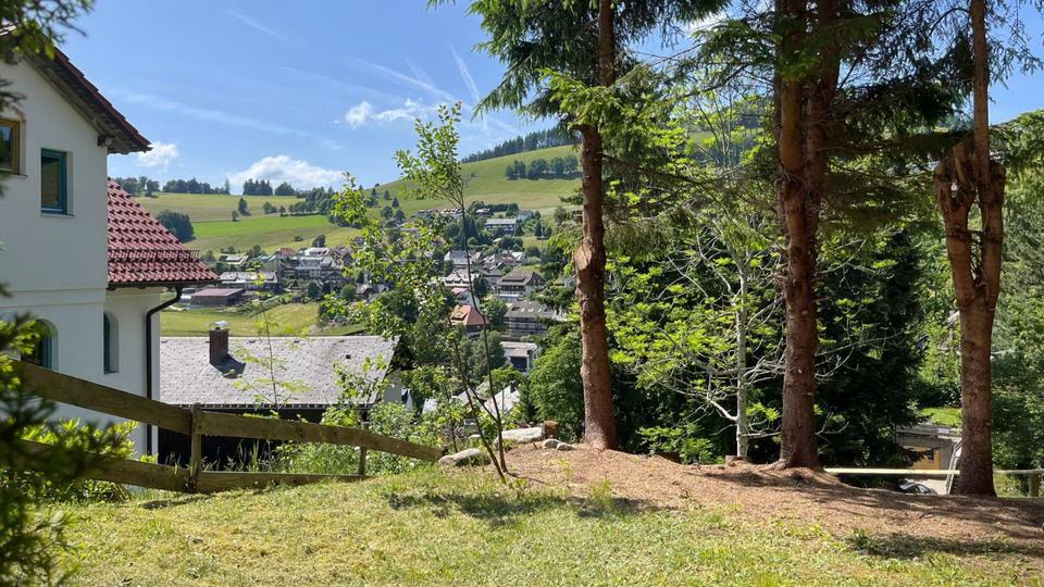 Einfamilienhaus Todtnau - 8 Zimmer, 190 m&sup2;, 410.000&euro; | Angebot:22714656