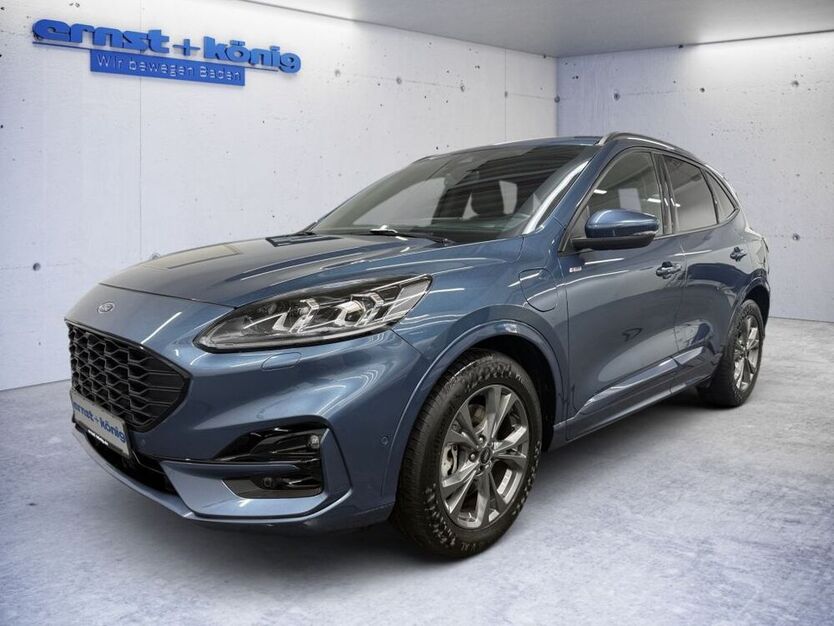 Kuga
