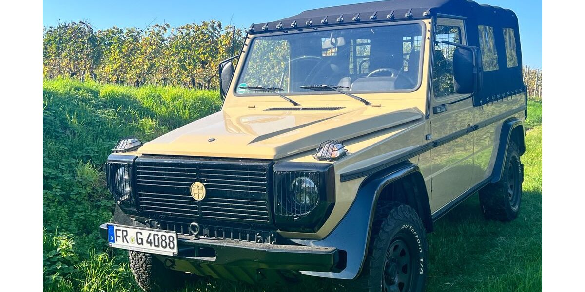 Mercedes-Benz G 230 73.000 km 63.000 &euro; Heitersheim 79423