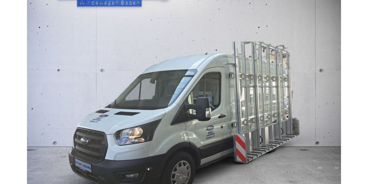 Ford Transit 1.500 km 48.671 &euro; Teningen-Köndringen 79331