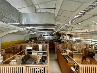 PROJEKTENTWICKLUNG AUF DER HAID - Gewerbeobjekt Freiburg im Breisgau Haslach | Angebot:24992082