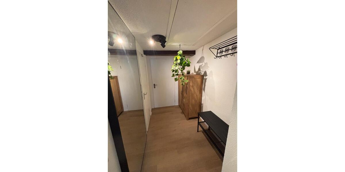 Etagenwohnung Freiburg im Breisgau Herdern - 1 Zimmer, 30 m&sup2;, 2.400&euro; | Angebot:26185012
