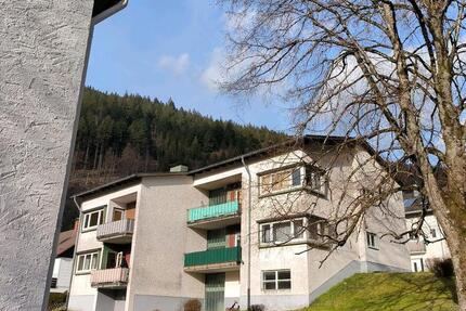 Haus Todtnau - 12 Zimmer, 256 m&sup2;, 399.000&euro; | Angebot:25810328