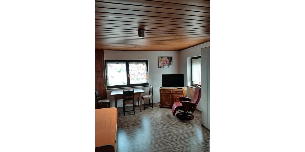 Etagenwohnung Ettenheim - 1 Zimmer, 180 m&sup2;, 500&euro; | Angebot:26033385