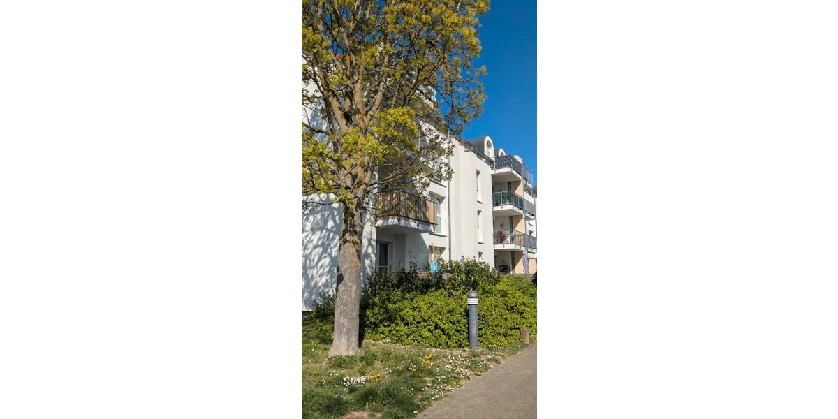 Erdgeschoßwohnung Breisach am Rhein - 4 Zimmer, 98 m&sup2;, 1.212&euro; | Angebot:26549731