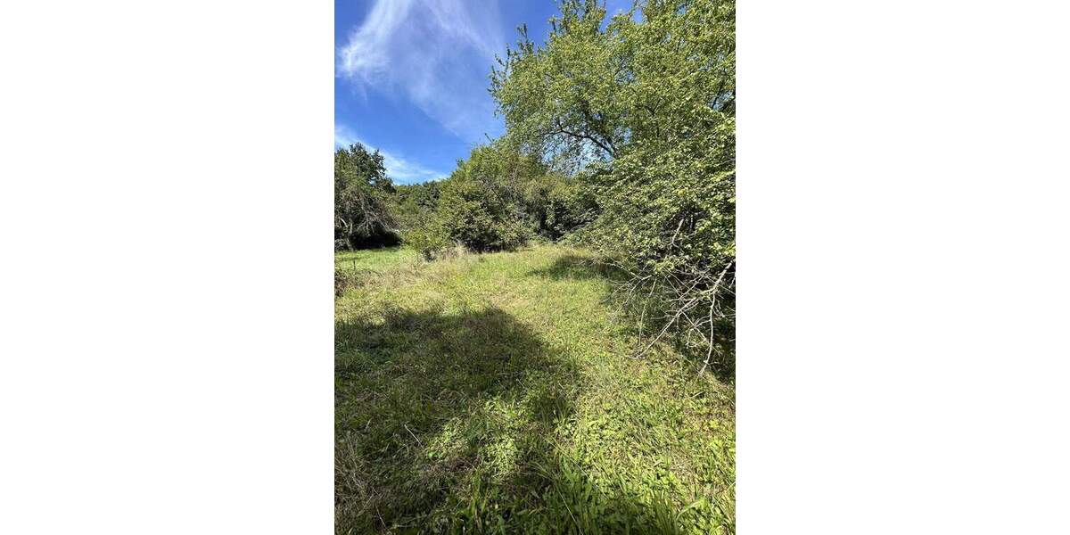 Mehrfamilienhaus, Wohnhaus Freiburg Zähringen - 6 Zimmer, 171 m&sup2;, 1.340.000&euro; | Angebot:23975560