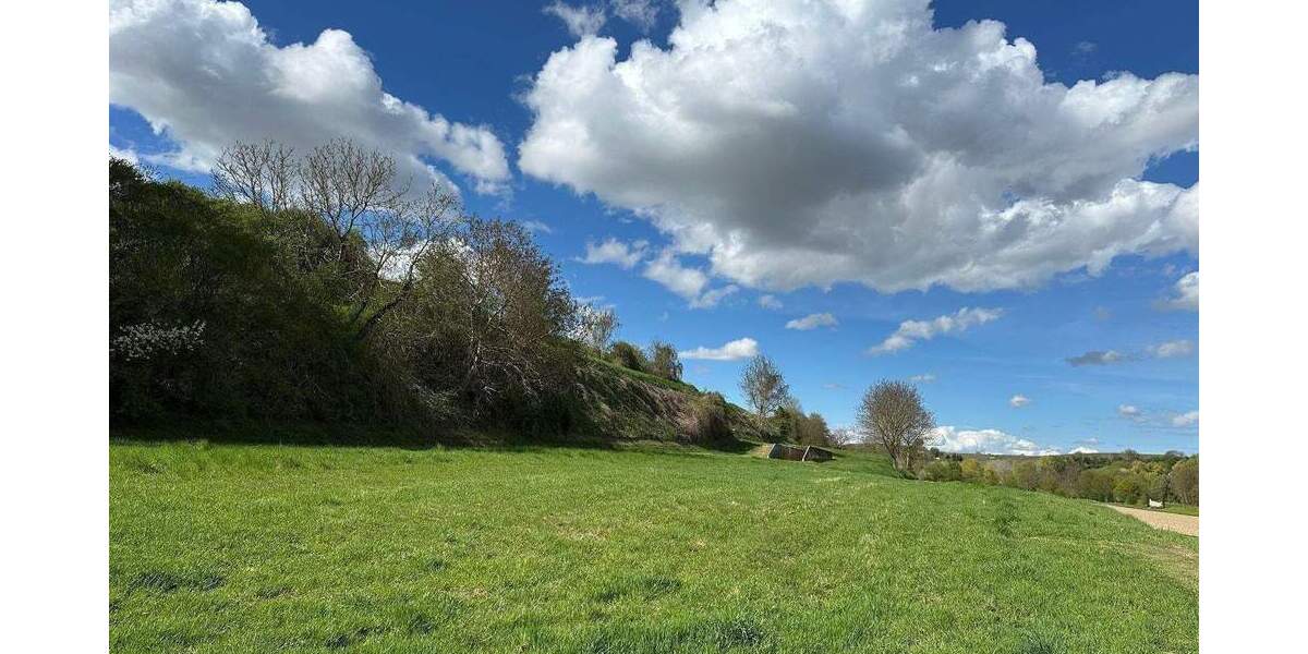 Mehrfamilienhaus, Wohnhaus Herbolzheim Tutschfelden - 1 Zimmer, 277 m&sup2;, 1.190.000&euro; | Angebot:24683064