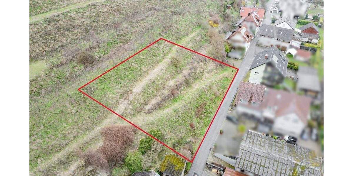 Grundstück Vogtsburg Oberbergen - 347.000&euro; | Angebot:25667966