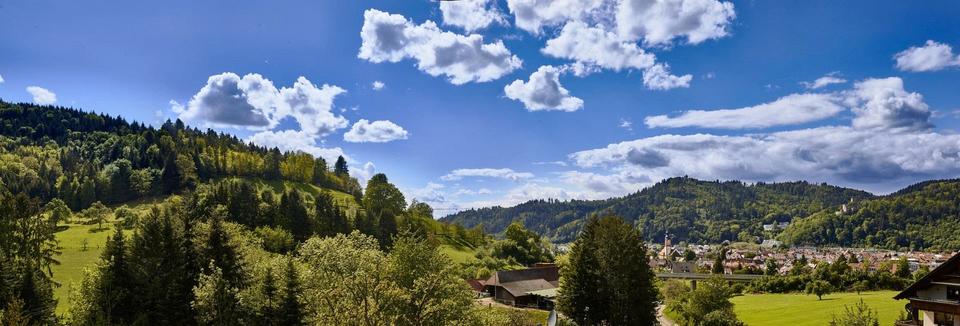 Einfamilienhaus Waldkirch - 4.5 Zimmer, 198 m&sup2;, 1.375.000&euro; | Angebot:26821659