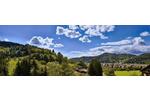 Einfamilienhaus Waldkirch - 4.5 Zimmer, 198 m&sup2;, 1.375.000&euro; | Angebot:26821659