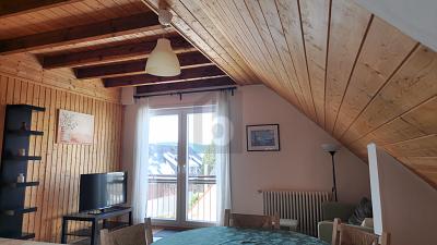 OBJEKT MIT FLEXIBLEN VERMIETUNGSKONZEPTEN - Mehrfamilienhaus, Wohnhaus Feldberg | Angebot:25086121